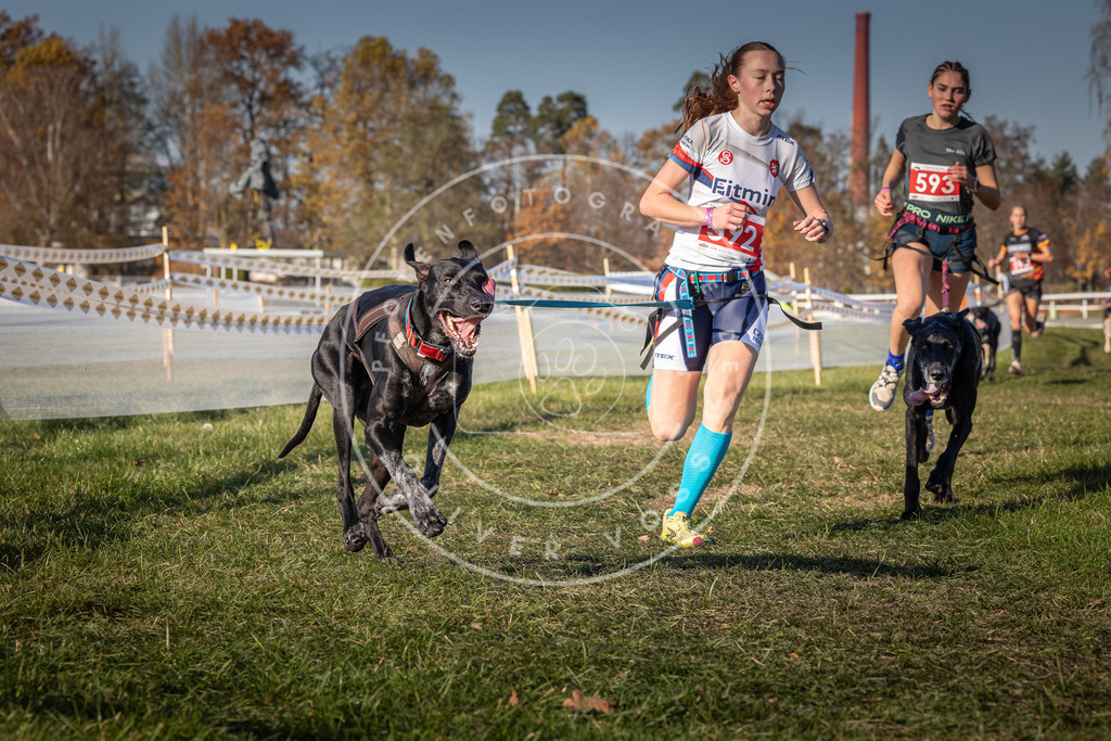 CaniXpix_0L8A8362 | Hundefotografie, Tierfotograf, Pfotenfotografie, Fotoshooting Hund, Hunde Portrait, Hundesport, Hundeportraits, Heideshooting, Hunde, Sportfotograf, Hundefotograf, Turnierhundsport, THS,  - Realisiert mit Pictrs.com
