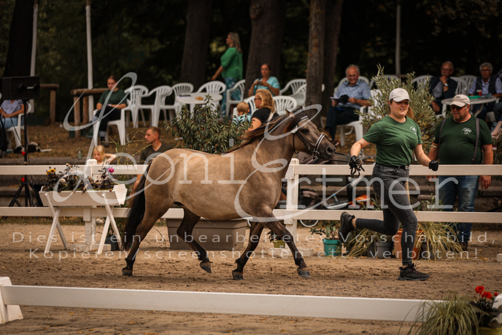 03.So00008 | Leoni Ertmer Photography - Realisiert mit Pictrs.com