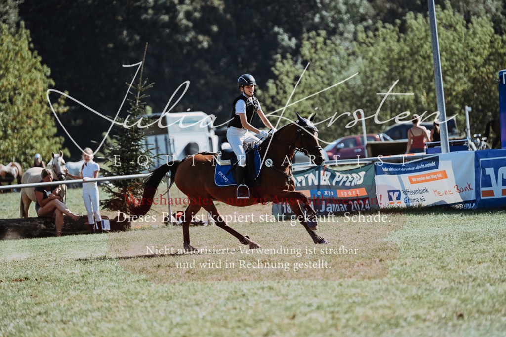 DSC_6927 | Pferde- und Turnierfotografie in Westsachsen. Pferdeportraits, Auftragszeichnungen und intuitive Kunst.