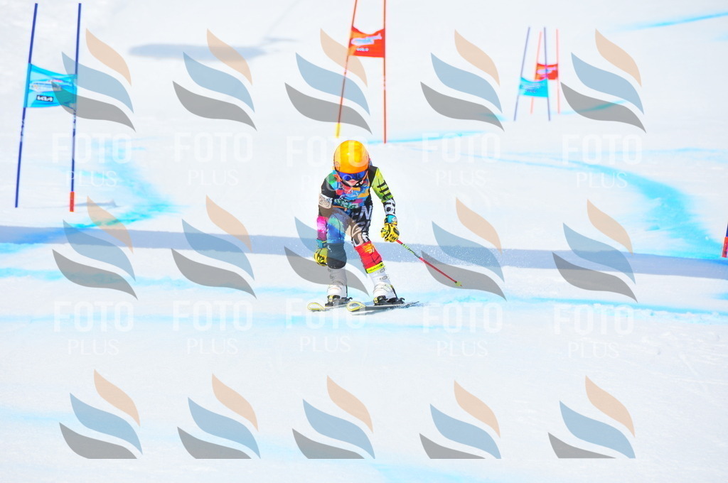 DSC_3087 | holidayphoto