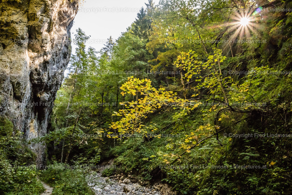 Rosslochklamm -2957 | Fotos und Fotoprodukte - Realisiert mit Pictrs.com