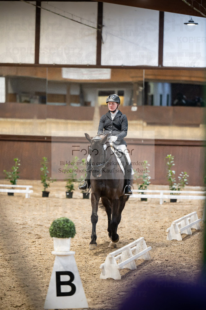 Hallenreittunier Voxtrup 2023 | Entdecke hochwertige Reitturnierfotos von Foto Oger. Professionell, emotional und authentisch – jetzt Lieblingsmomente im Shop bestellen. - Realisiert mit Pictrs.com