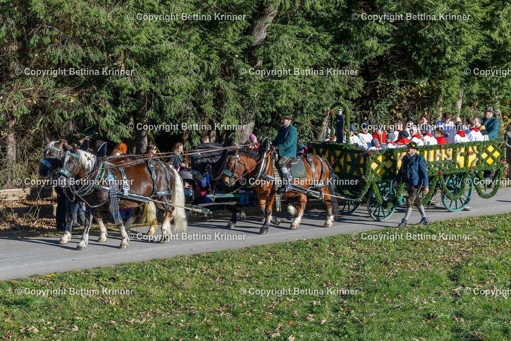 LBT25-45 | foto-bettina-krinner - Realisiert mit Pictrs.com