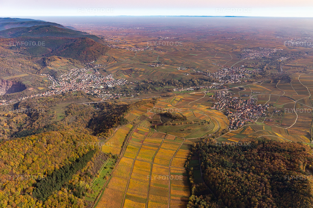 Luftbild: Herbstluftbild mit Blick in die Rheinebene im Talausgang der Queich zwischen Birkweiler und Siebeldingen in der von Bergen umgebenen Tallandschaft der Queich in Albersweiler im Bundesland Rheinland-Pfalz in Deutschland. Foto: IMG_123729.jpg vom 07.11.2020 durch Werner Riehm/FLY-FOTO.de