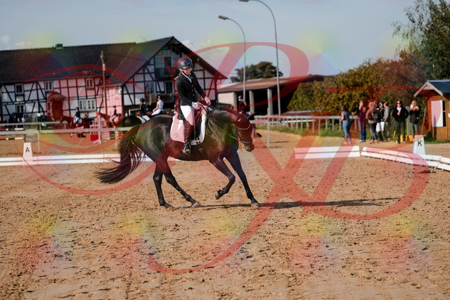 2026_10_03_Siefer-Hof_121722_Z63_41436399 | Professionelle Reitsport-, Turnier- und Eventfotografie von Robert Broda. Galerien mit ausgewählten und bearbeiteten Bildern direkt online ansehen und bestellen.