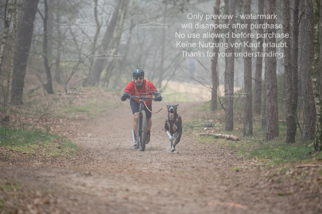 Scooter1-25 | stephaniefillaphotographie - Realisiert mit Pictrs.com