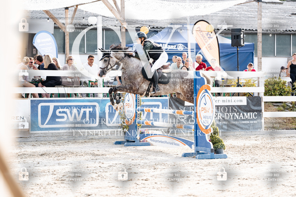 CK906612 | Turnierfotografie Pferdefotografie Trier Rheinland-Pfalz Pferdesport Reitsport Tierfotografie Sportfotografie Pferdevideo Pferdevideografie Equestrianvideography equestrianphotography  - Realisiert mit Pictrs.com