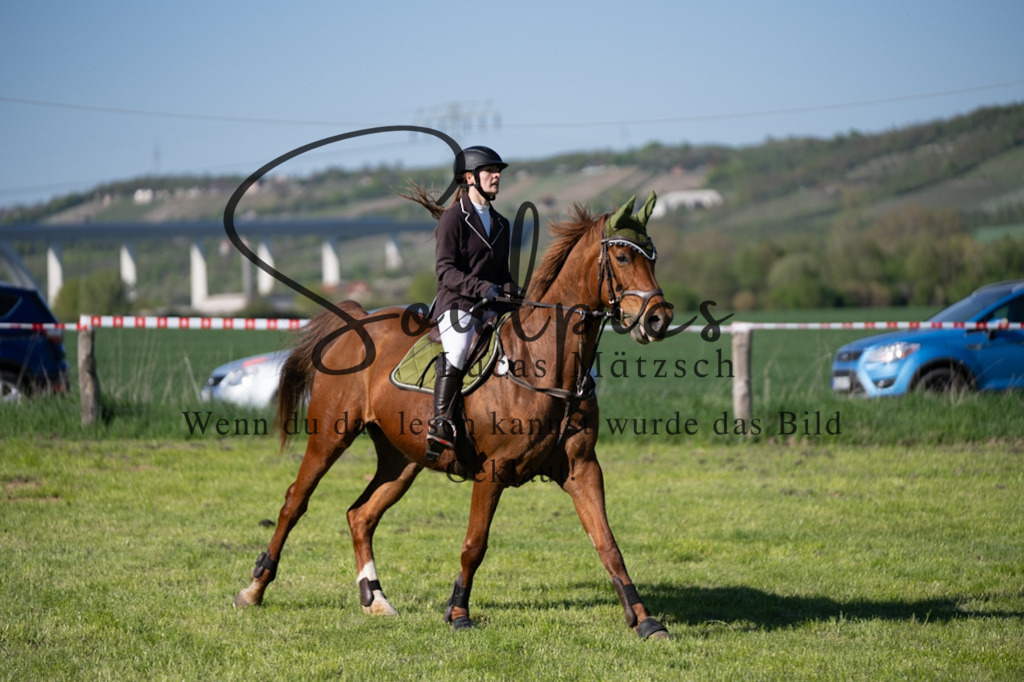 A7V01651 | Pferdefotograf