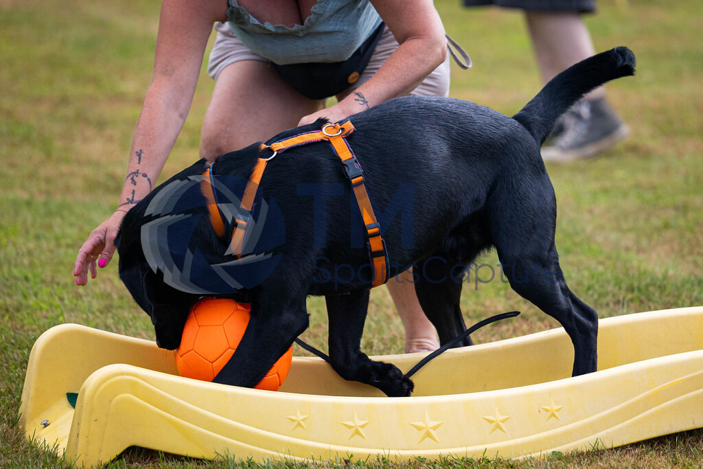 TP-20240815-0032 | Copyright: Trainproduction / Matthias Trinkl