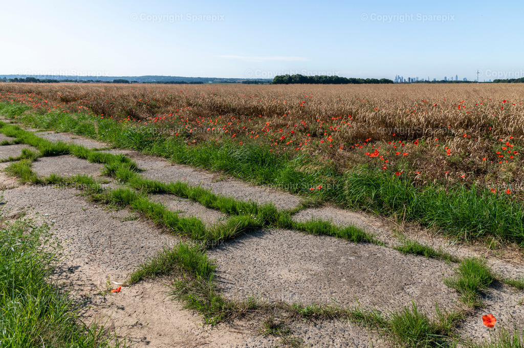 LOC_Trail_Farmland+Skyline1 | sparepix - Realisiert mit Pictrs.com