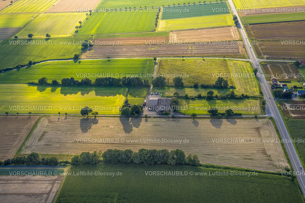 Werl230806415 | Luftbild, Landwirtschaftlicher Hof, Wiesen und Felder mit Baumallee, Mawicke, Werl, Werl-Unnaer Börde, Nordrhein-Westfalen, Deutschland