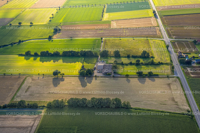 Werl230806415 | Luftbild, Landwirtschaftlicher Hof, Wiesen und Felder mit Baumallee, Mawicke, Werl, Werl-Unnaer Börde, Nordrhein-Westfalen, Deutschland