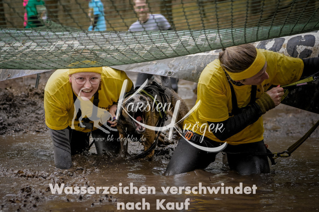 1005_ZZ99334 | kk-dogfotos