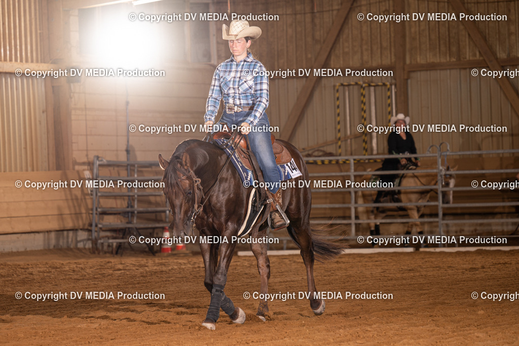 NID01073 | dv-media-shop - Realisiert mit Pictrs.com