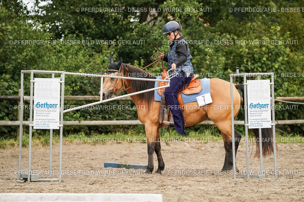 DSC08627 | Pferdegrafie