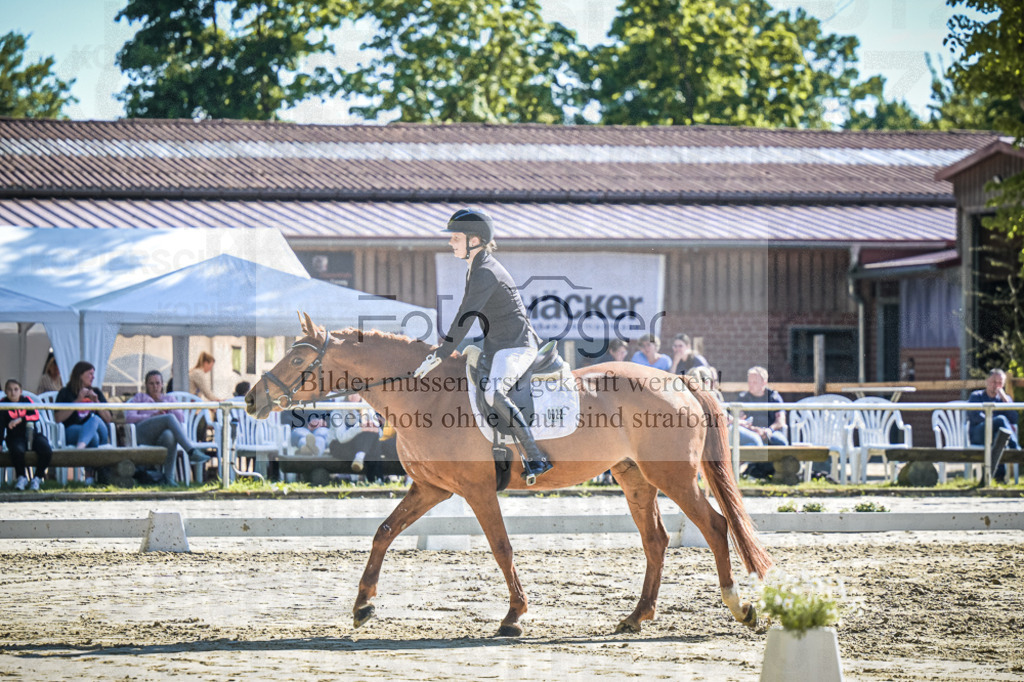 DOS_2757 | Entdecke hochwertige Reitturnierfotos von Foto Oger. Professionell, emotional und authentisch – jetzt Lieblingsmomente im Shop bestellen.Deutschlandweite Turnierfotografie. - Realisiert mit Pictrs.com
