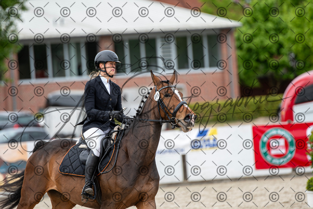 KPT_6162 | andre_photographic