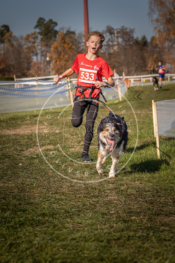 CaniXpix_0L8A7407 | Hundefotografie, Tierfotograf, Pfotenfotografie, Fotoshooting Hund, Hunde Portrait, Hundesport, Hundeportraits, Heideshooting, Hunde, Sportfotograf, Hundefotograf, Turnierhundsport, THS,  - Realisiert mit Pictrs.com