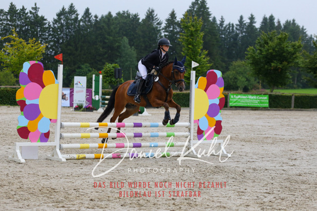 IMG_5035 | Turniersportfotografie; Pferdefotografie; Dressurfotografie