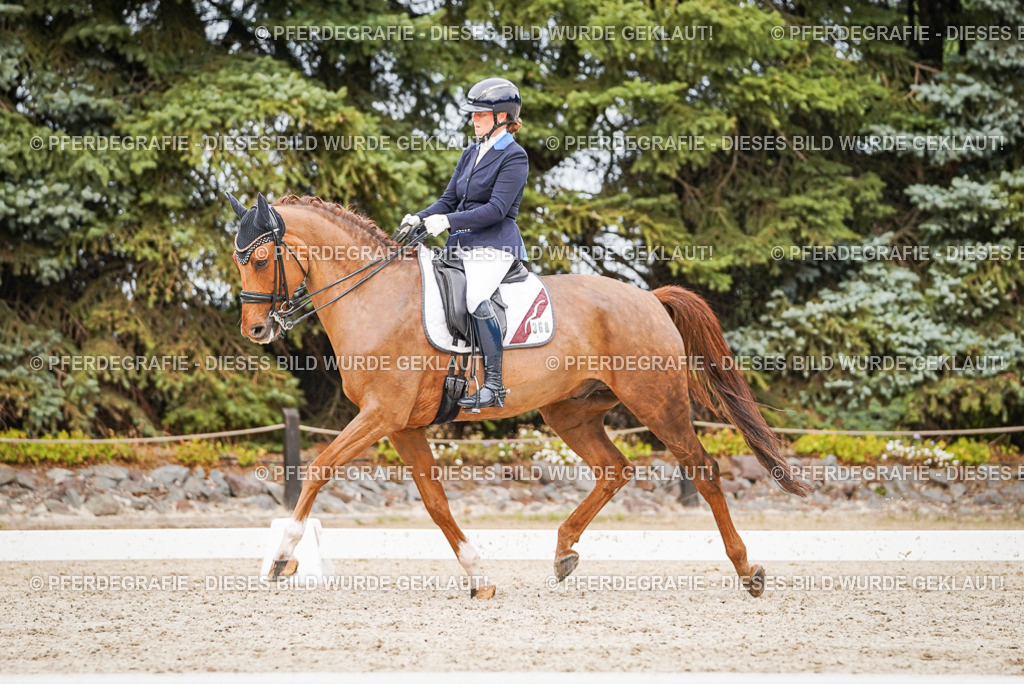 DSC07504 | Pferdegrafie