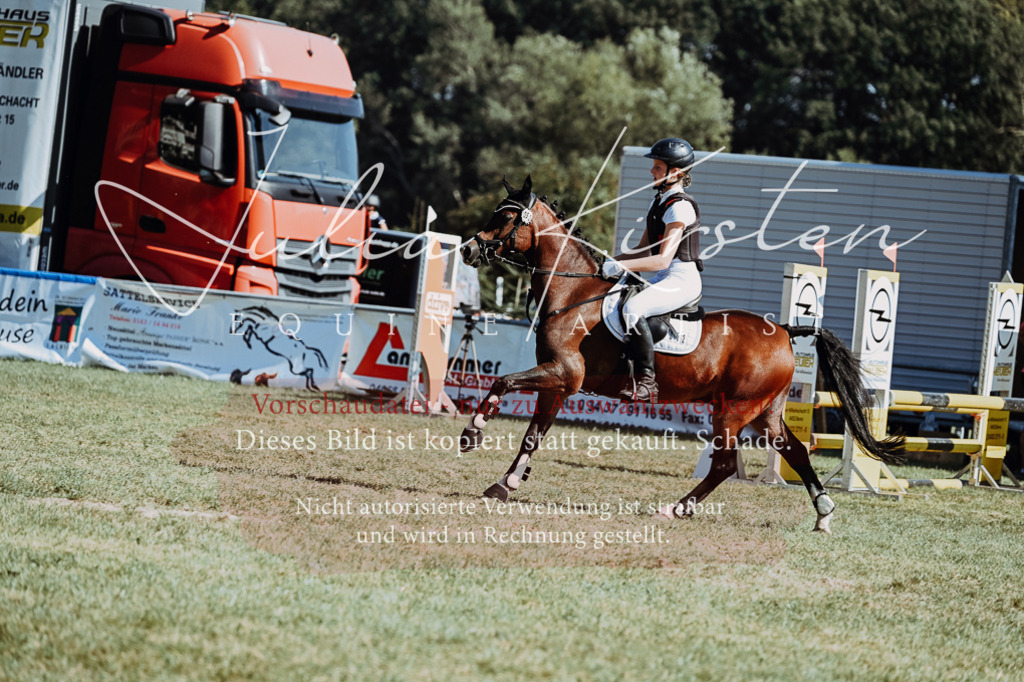 DSC_6827 | Pferde- und Turnierfotografie in Westsachsen. Pferdeportraits, Auftragszeichnungen und intuitive Kunst.