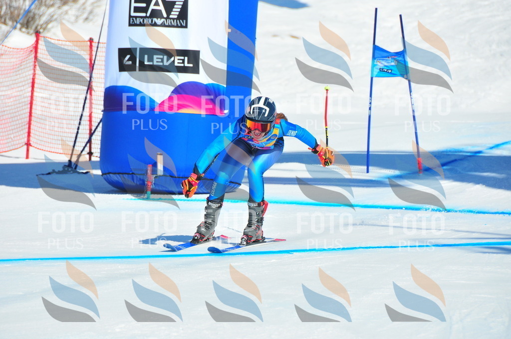 DSC_3694 | holidayphoto