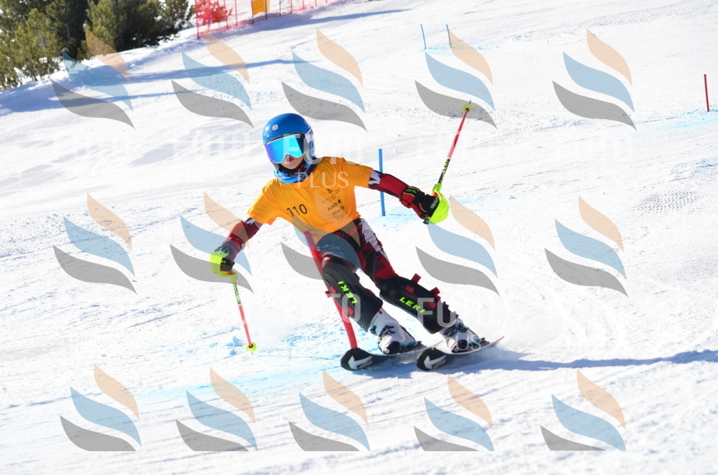 C6275 | holidayphoto