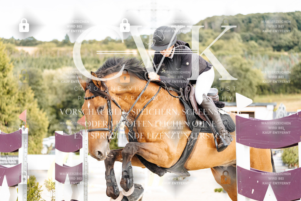 CK902907 | Turnierfotografie Pferdefotografie Trier Rheinland-Pfalz Pferdesport Reitsport Tierfotografie Sportfotografie Pferdevideo Pferdevideografie Equestrianvideography equestrianphotography  - Realisiert mit Pictrs.com