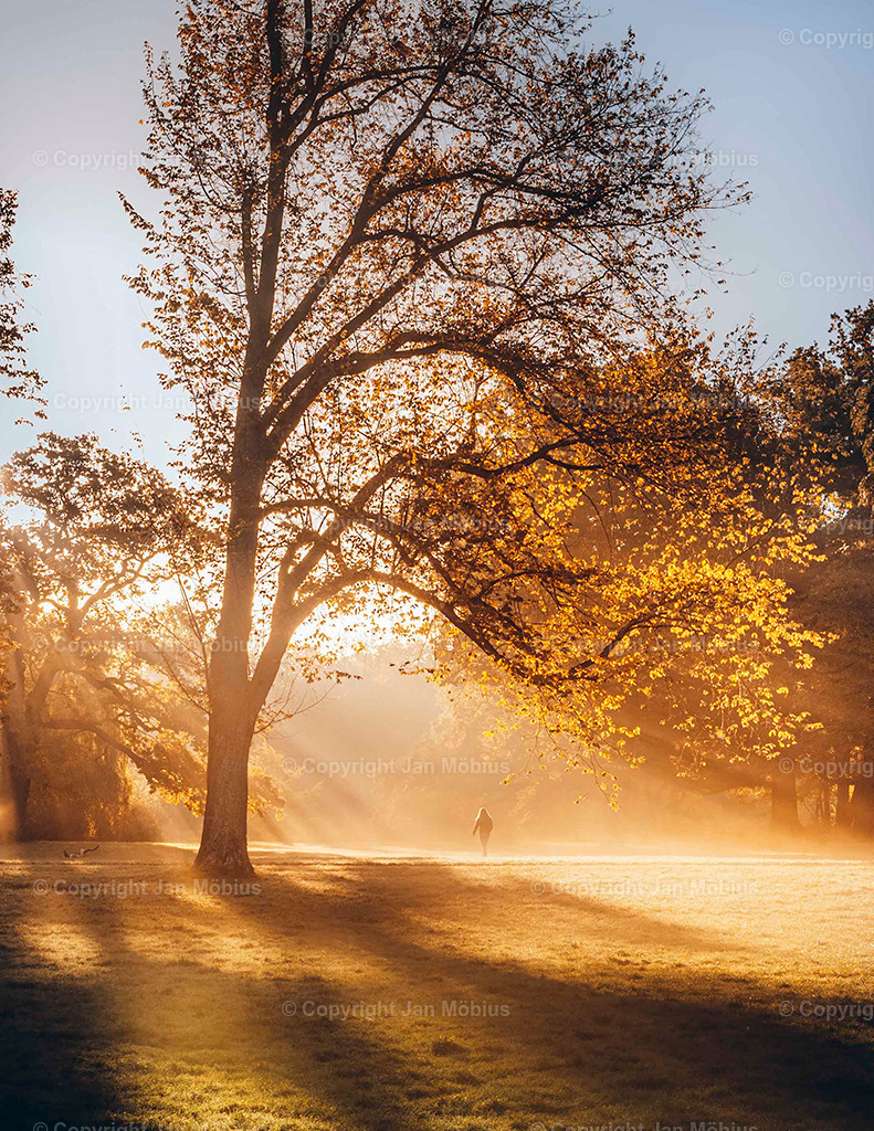 _DSC4702 | Der Clara-Zetkin-Park in Leipzig ist ein beliebter Ort für Natur, Sport und Erholung – perfekt für Spaziergänge, Jogging und entspannte Stunden im Grünen. - Realisiert mit Pictrs.com