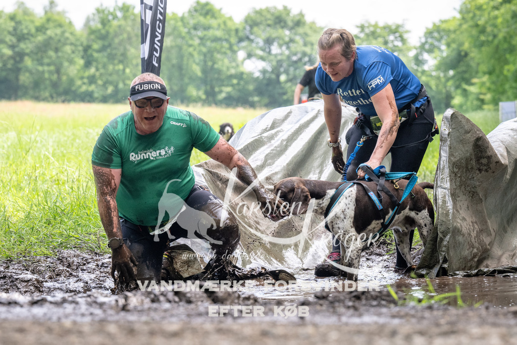 1138_ZZ93587 | kk-dogfotos