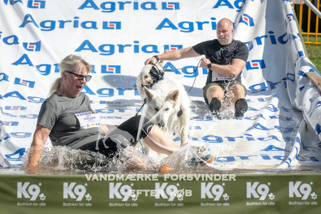 1136_ZZ93070 | kk-dogfotos