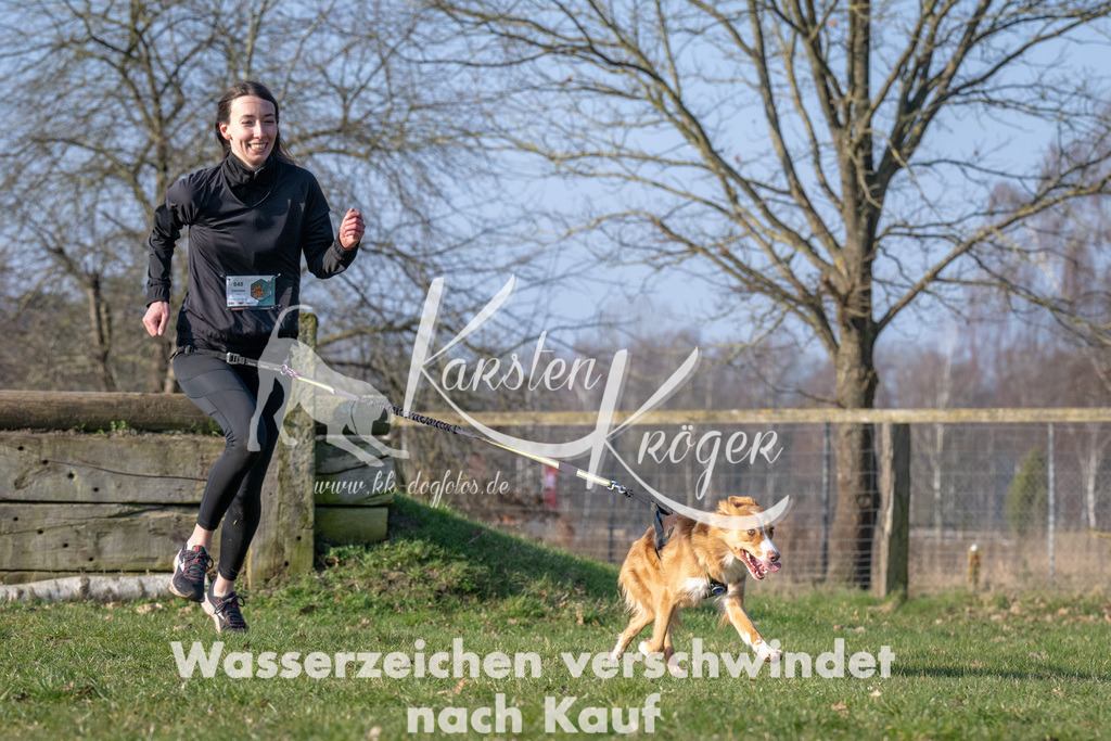 _ZZ94550 | kk-dogfotos