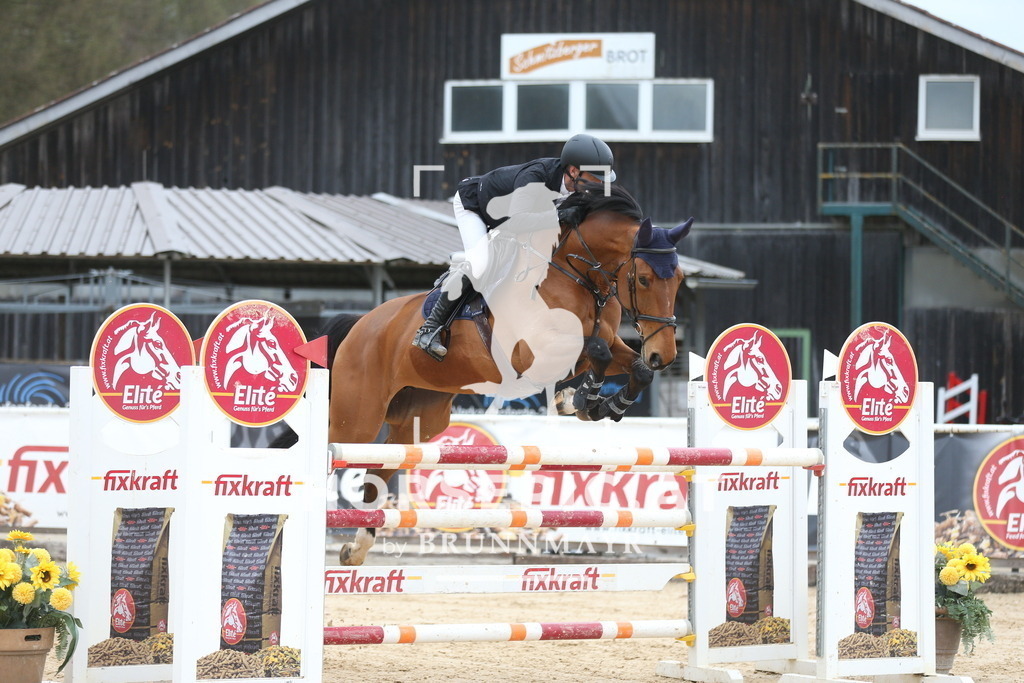 AS8V0111 | Willkommen bei Brunnmayr - Design & Fotografie – Ihrem Spezialisten für Reitturniere und Pferdeveranstaltungen in Oberösterreich, Salzburg und Bayern! Seit über 17 Jahren sind wir leidenschaftlich dabei.