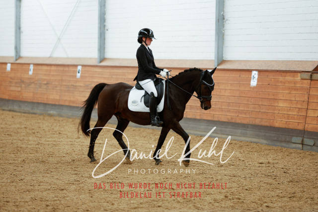 _62_5703 | Turniersportfotografie; Pferdefotografie; Dressurfotografie