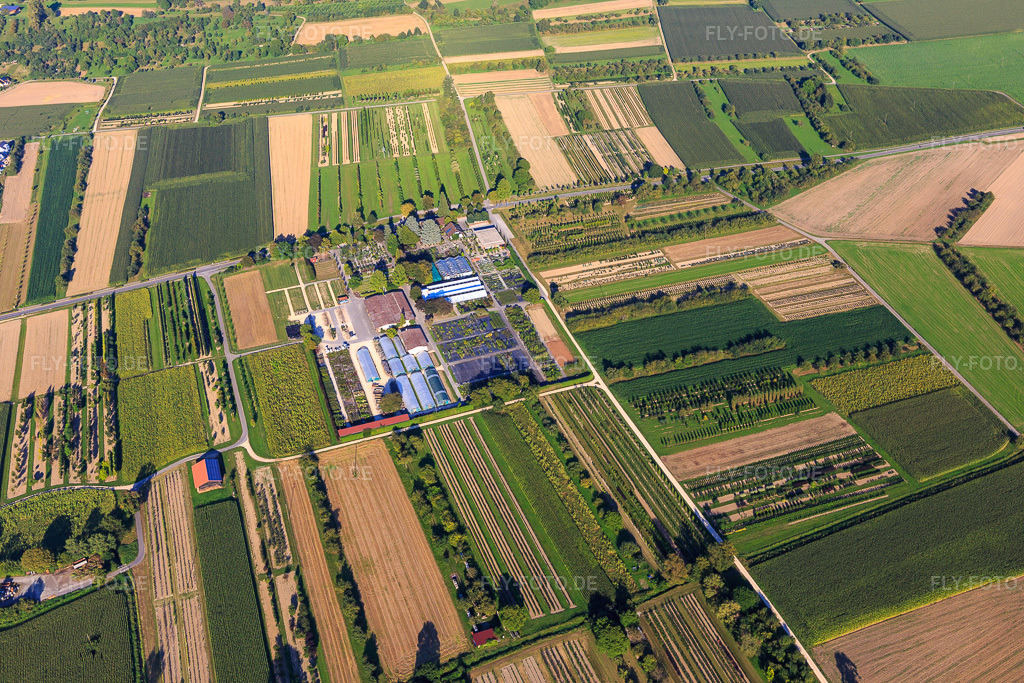 Luftbild: AMMANN Gartenkultur GmbH Baumschule in Steißlingen im Bundesland Baden-Württemberg in Deutschland. – Foto: IMG_094279.jpg vom 27.08.2016 durch Werner Riehm/FLY-FOTO.de – Auflösung des Originals: 5472 x 3648 px – Baumschule Ammann - ein Treffpunkt für Gartengenießer