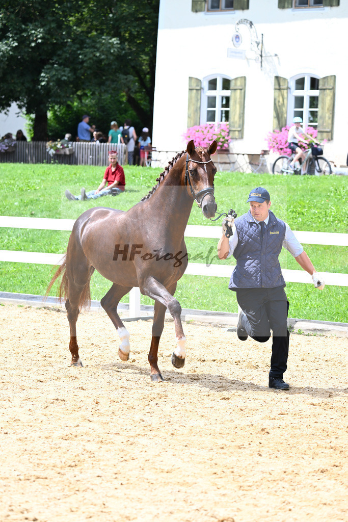 Valenziano_27140734 | hf-fotografie - Realisiert mit Pictrs.com