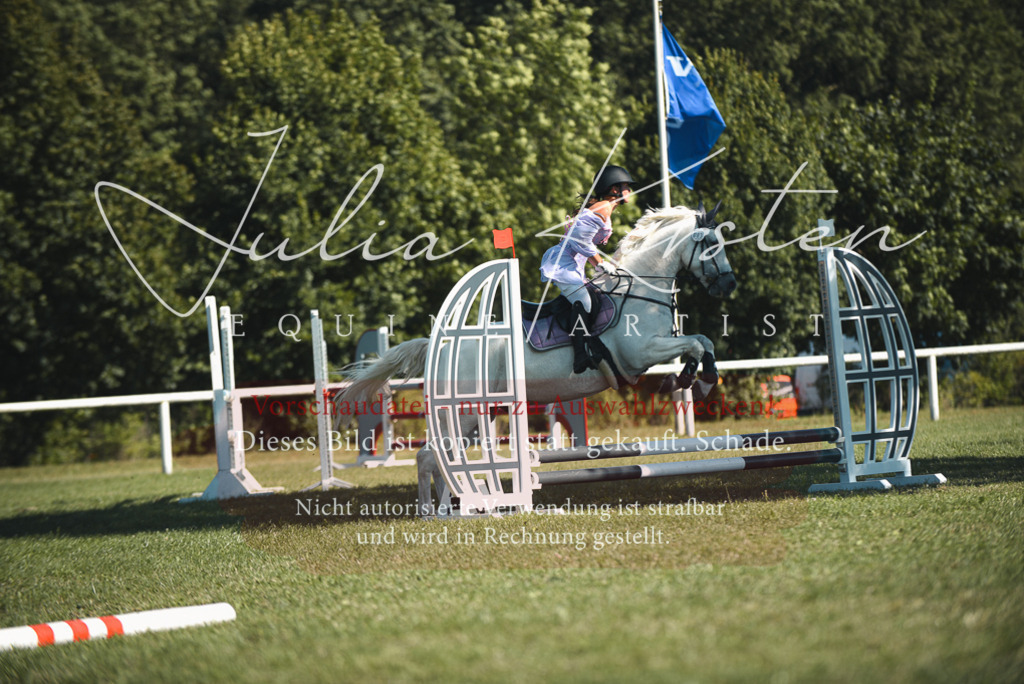 DSC_7555 | Pferde- und Turnierfotografie in Westsachsen. Pferdeportraits, Auftragszeichnungen und intuitive Kunst.