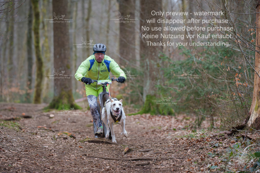 Scooter_So-49 | stephaniefillaphotographie - Realisiert mit Pictrs.com