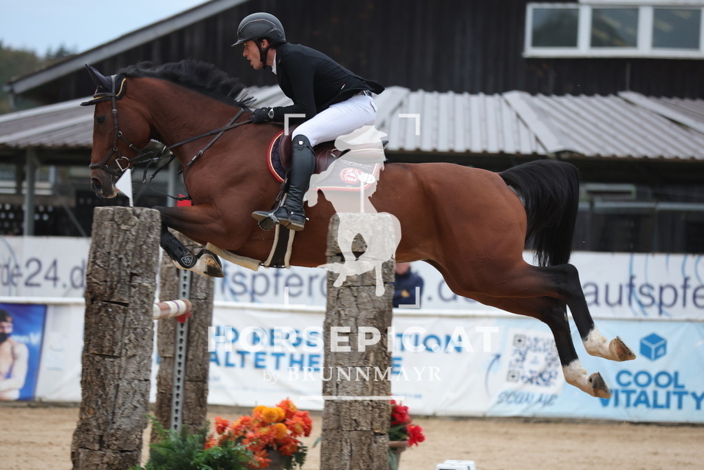 0P6A7378 | Willkommen bei Brunnmayr - Design & Fotografie – Ihrem Spezialisten für Reitturniere und Pferdeveranstaltungen in Oberösterreich, Salzburg und Bayern! Seit über 17 Jahren sind wir leidenschaftlich dabei.