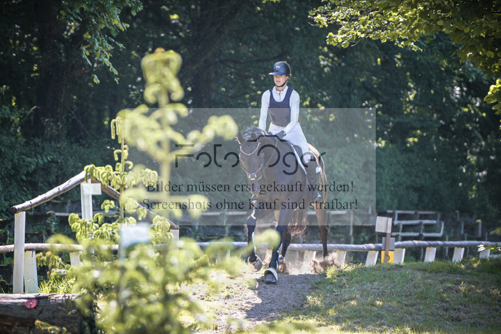 DOS_5907 | Entdecke hochwertige Reitturnierfotos von Foto Oger. Professionell, emotional und authentisch – jetzt Lieblingsmomente im Shop bestellen.Deutschlandweite Turnierfotografie. - Realisiert mit Pictrs.com