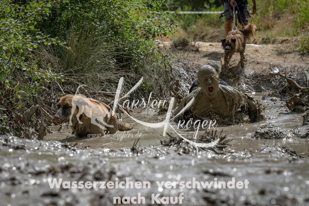 1437_ZZ93382 | kk-dogfotos