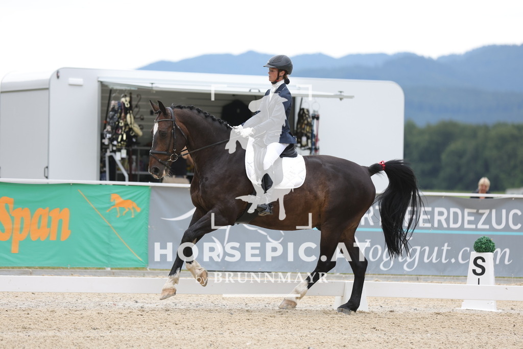 0P6A4561 | Willkommen bei Brunnmayr - Design & Fotografie – Ihrem Spezialisten für Reitturniere und Pferdeveranstaltungen in Oberösterreich, Salzburg und Bayern! Seit über 17 Jahren sind wir leidenschaftlich dabei.