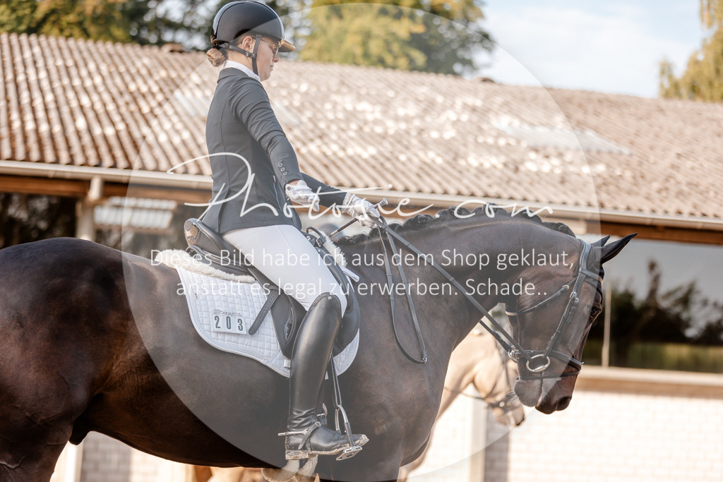 3I6A2424 | Stimmungsvolle Portraits und Reitsportfotografie im Ruhrgebiet und im Münsterland.

Pferdefotografie, Hundefotografie, Tierfotografie, Reportagen, Portraits von Tier und Mensch, Turnierfotografie in Bochum, Recklinghausen, Marl, Haltern am See, Dülmen.. - Realisiert mit Pictrs.com
