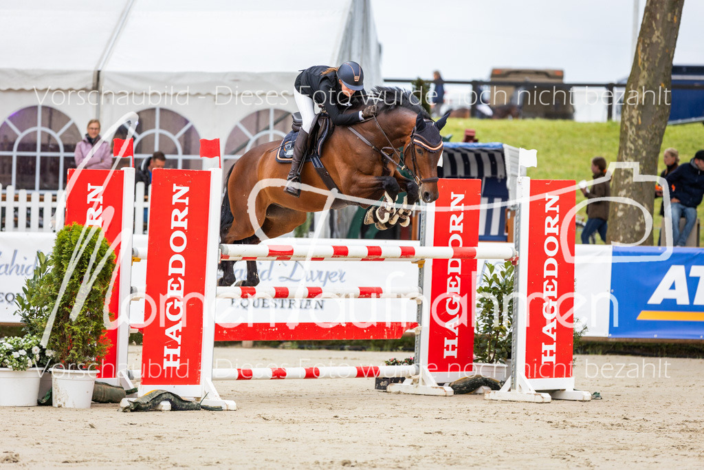 BHO-2PhSpr-M-035 | MomenTaufnahmen Pferdesportfotos