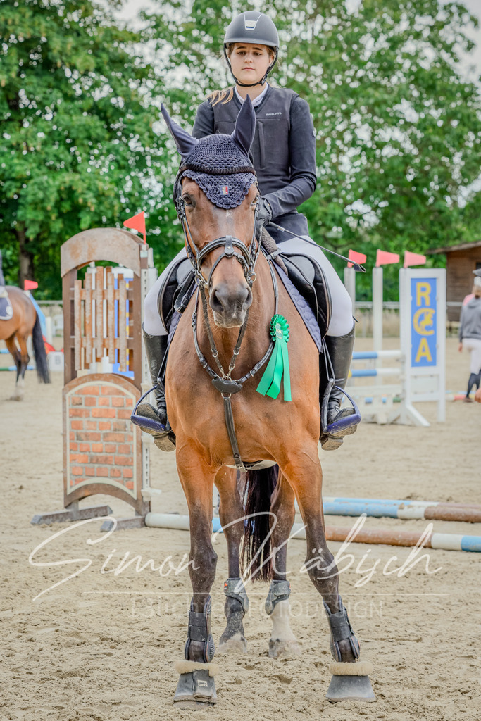20250706-_3LI3045 | Tierfotografie Pferde, Hunde, Katzen, Haustiere.
Turnierfotografie Reitturniere, Reiten, Springreiten, Dressur in Hanau, dem Main-Kinzig-Kreis und dem Rhein-Main- Gebiet um Frankfurt