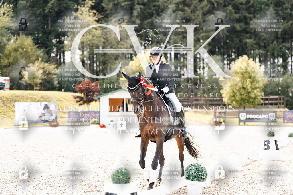 CK900942 | Turnierfotografie Pferdefotografie Trier Rheinland-Pfalz Pferdesport Reitsport Tierfotografie Sportfotografie Pferdevideo Pferdevideografie Equestrianvideography equestrianphotography  - Realisiert mit Pictrs.com