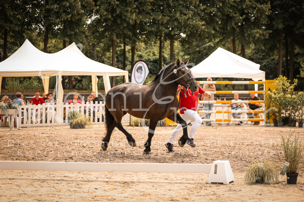 4.Sa00056 | Leoni Ertmer Photography - Realisiert mit Pictrs.com