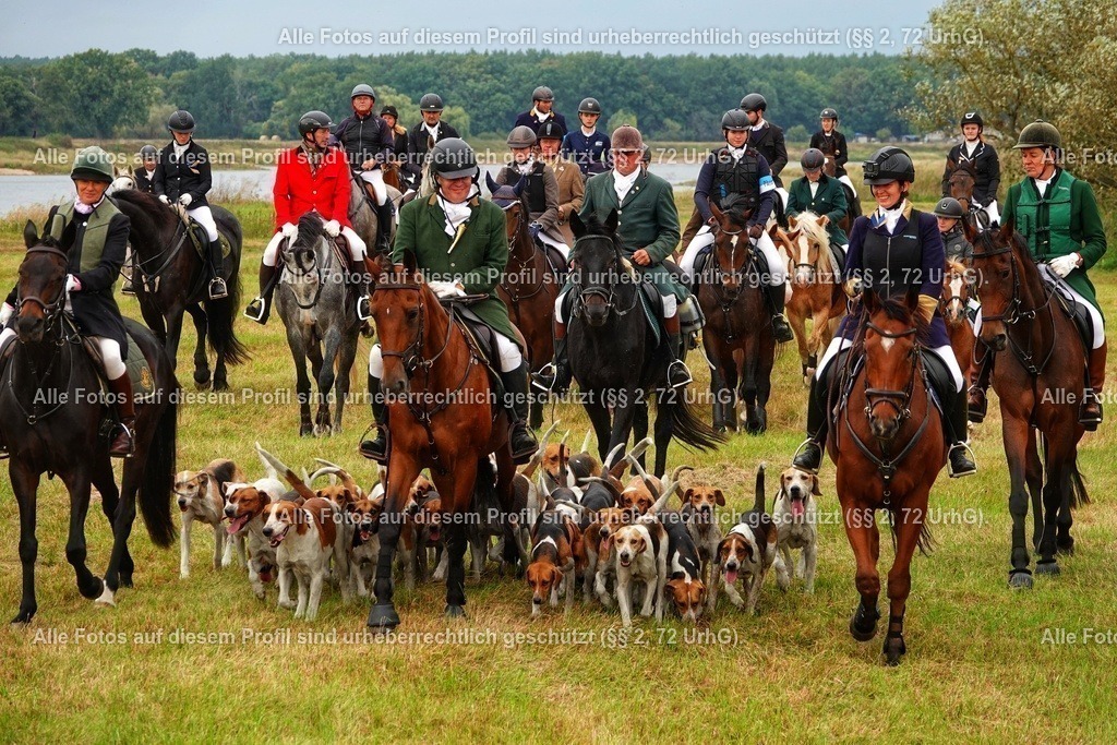 BMF08164-01 | krollfotografie - Realisiert mit Pictrs.com