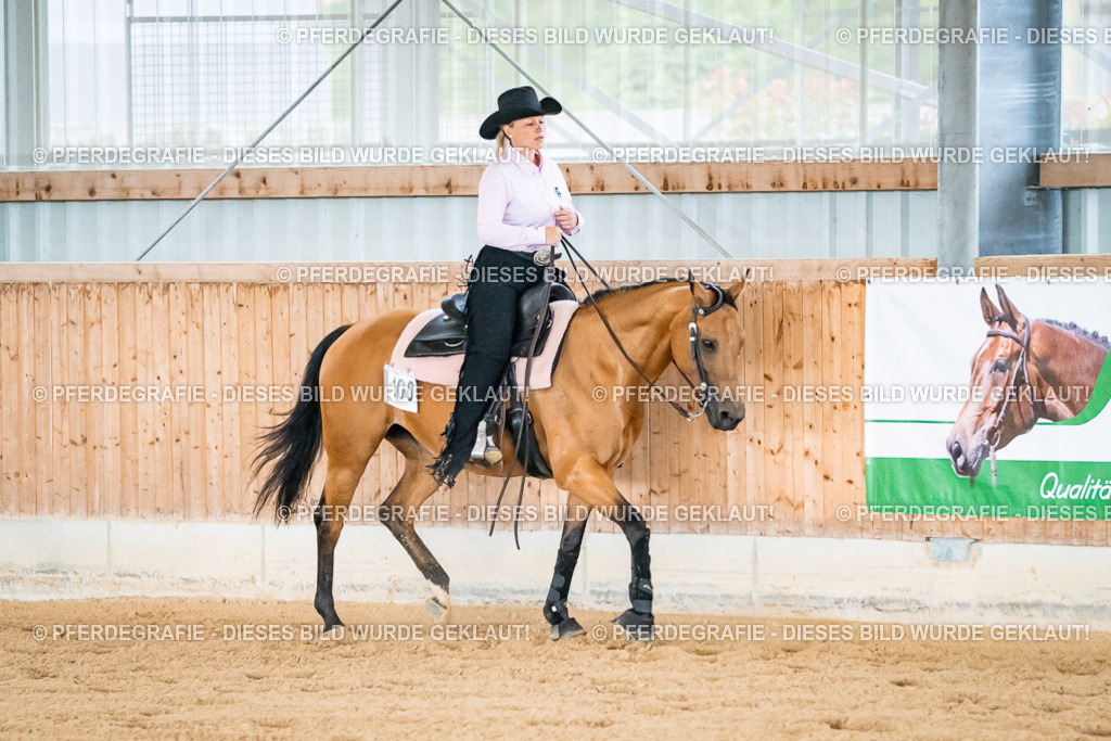 DSC09985 | Pferdegrafie