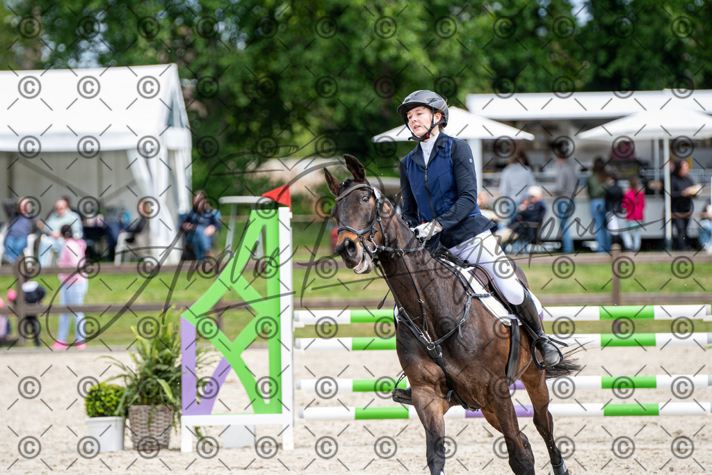 KPT_5433 | andre_photographic